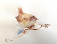 Troglodyte, oiseau, aquarelle, peinture faite à la main