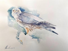 Faucon, oiseau, aquarelle, peinture faite à la main