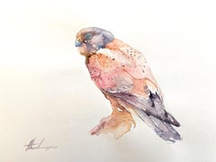 Kestrel, Watercolor Handmade Painting