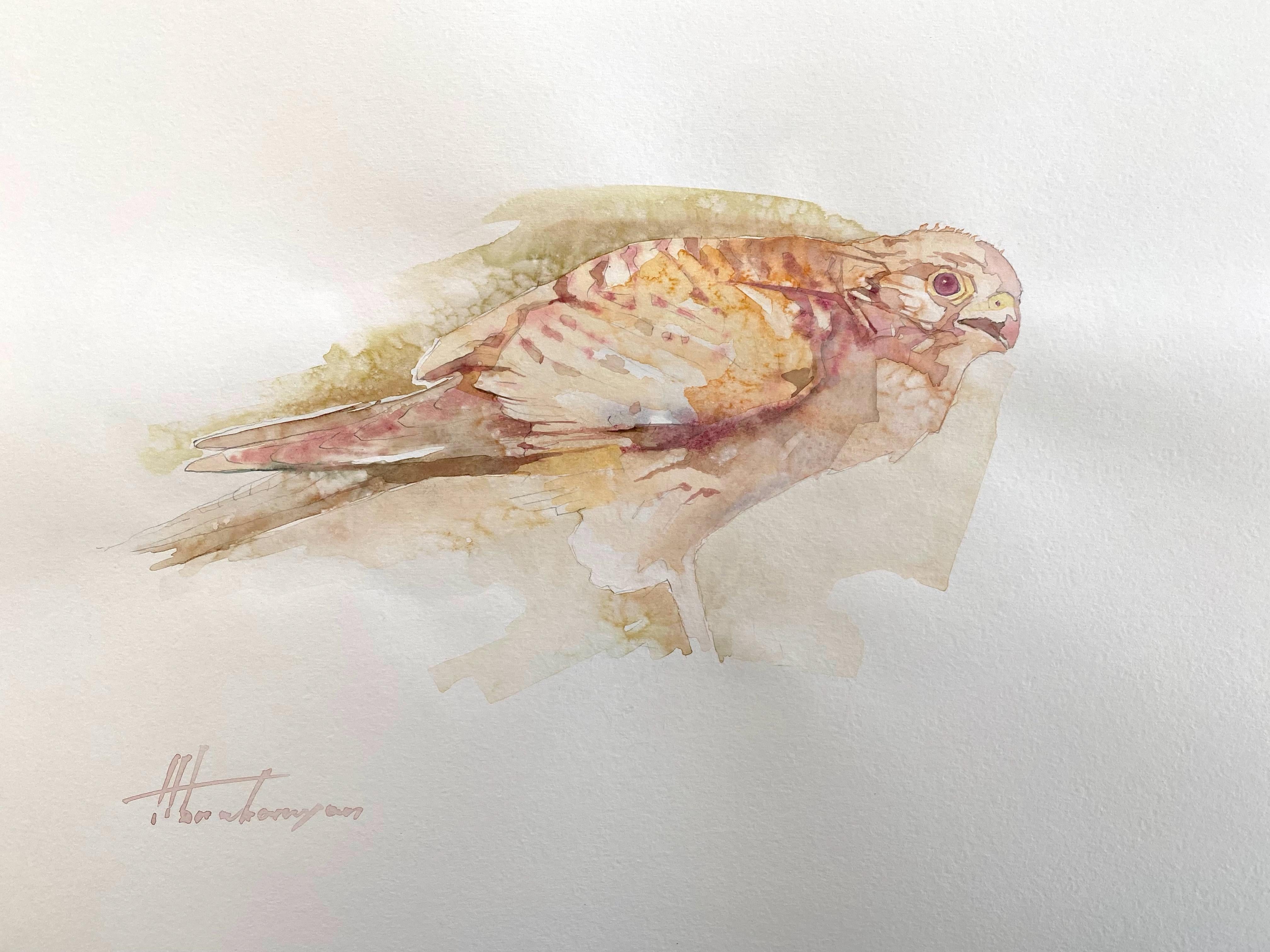 Artyom Abrahamyan Animal Art - Sparrow hawk, Bird, Watercolor Handmade Painting