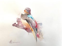 Trogon, Oiseau, Aquarelle Peinture Faite à la Main