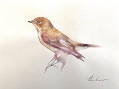 Oiseau, original, aquarelle, peinture faite à la main