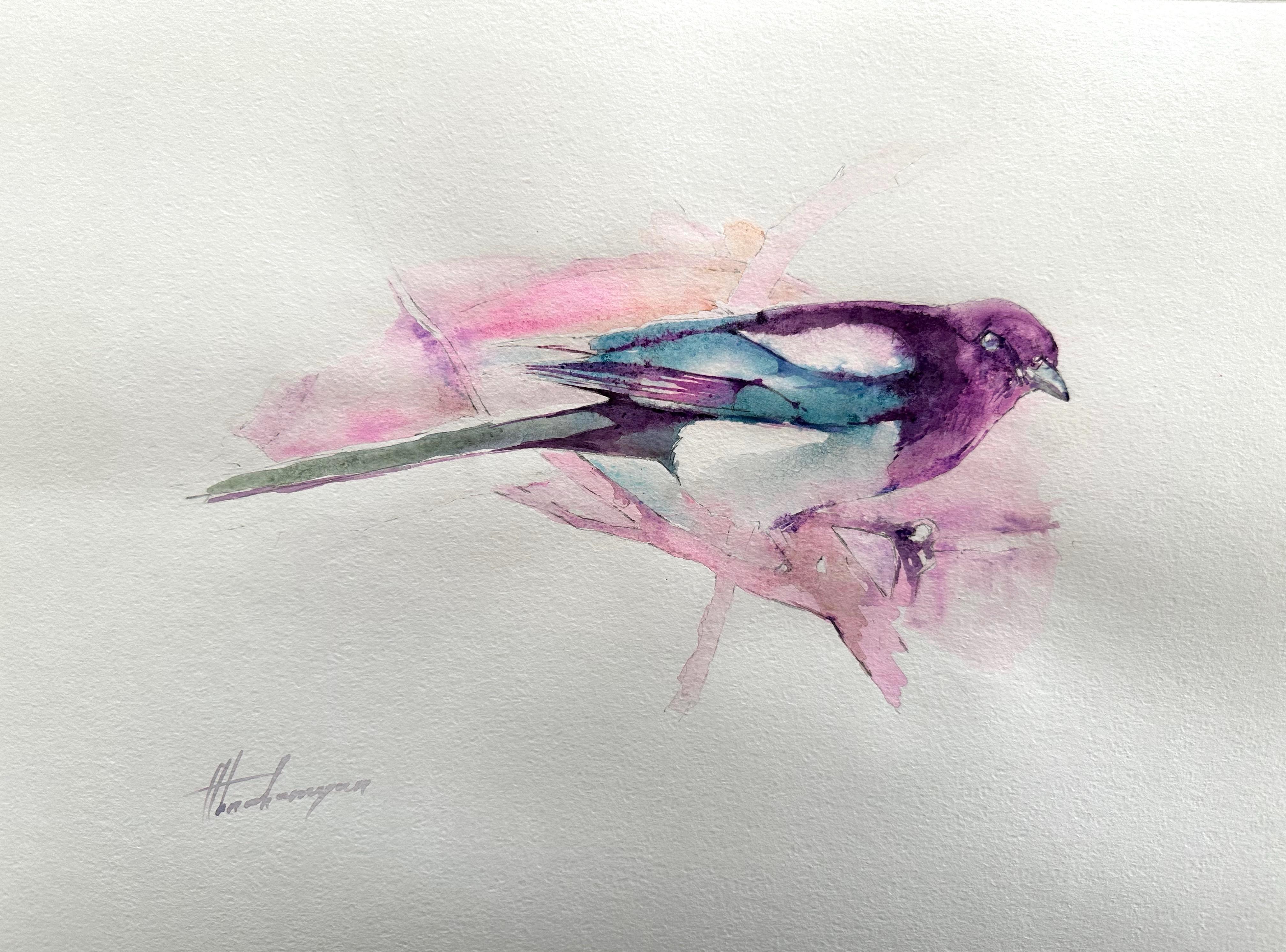 Urraca, Pájaro, Pintura a mano en acuarela