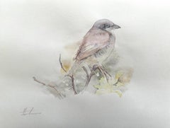 Shrike, Vogel, Aquarell, handgefertigtes Gemälde, einzigartig, Unikat