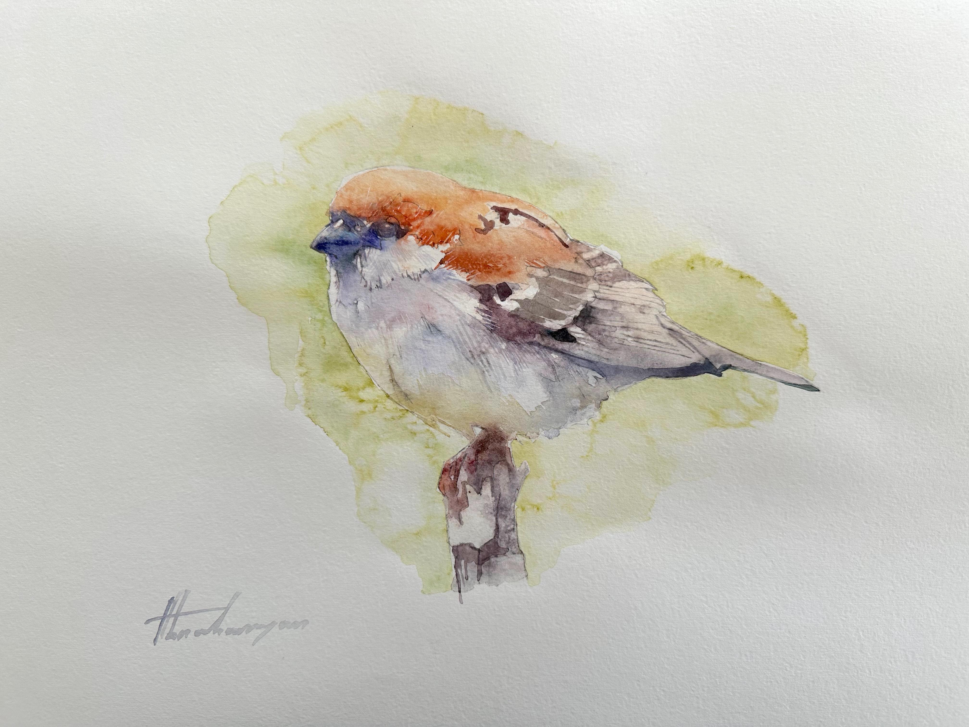 Artyom Abrahamyan Animal Art - Sparrow, Bird, Watercolor Handmade Painting, One of a Kind