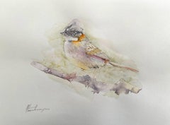 Titmouse, Watercolor Handmade Painting, One of a Kind