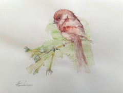 Canari rouge, oiseau, aquarelle, peinture faite à la main, unique en son genre