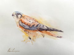 Kestrel, Watercolor Handmade Painting, One of a Kind
