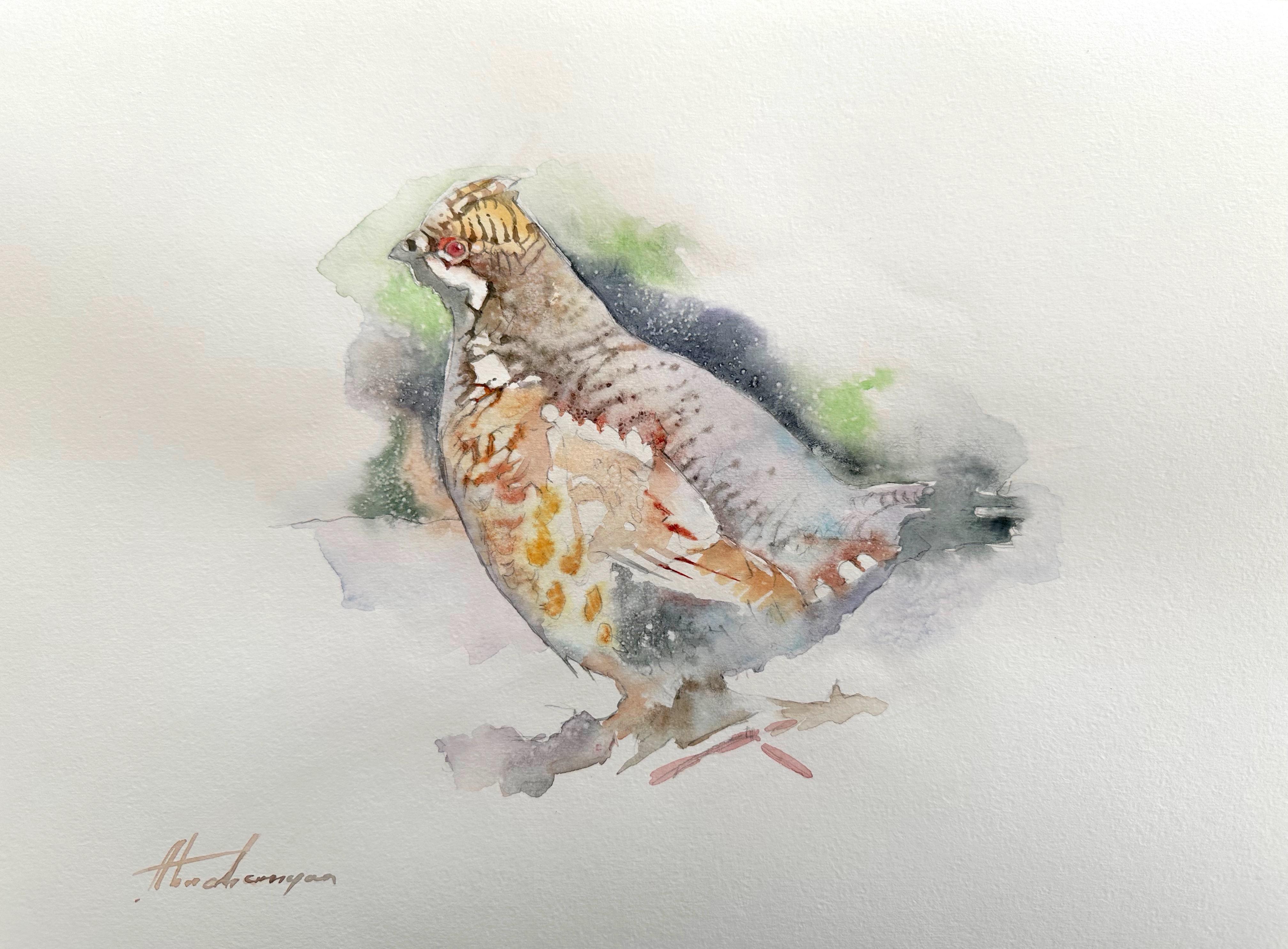 Perdrix, oiseau, aquarelle, peinture faite à la main, unique en son genre