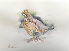 Partridge, Bird, Watercolor Handmade Painting, One of a Kind