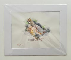 Partridge, Bird, Watercolor Handmade Painting, One of a Kind
