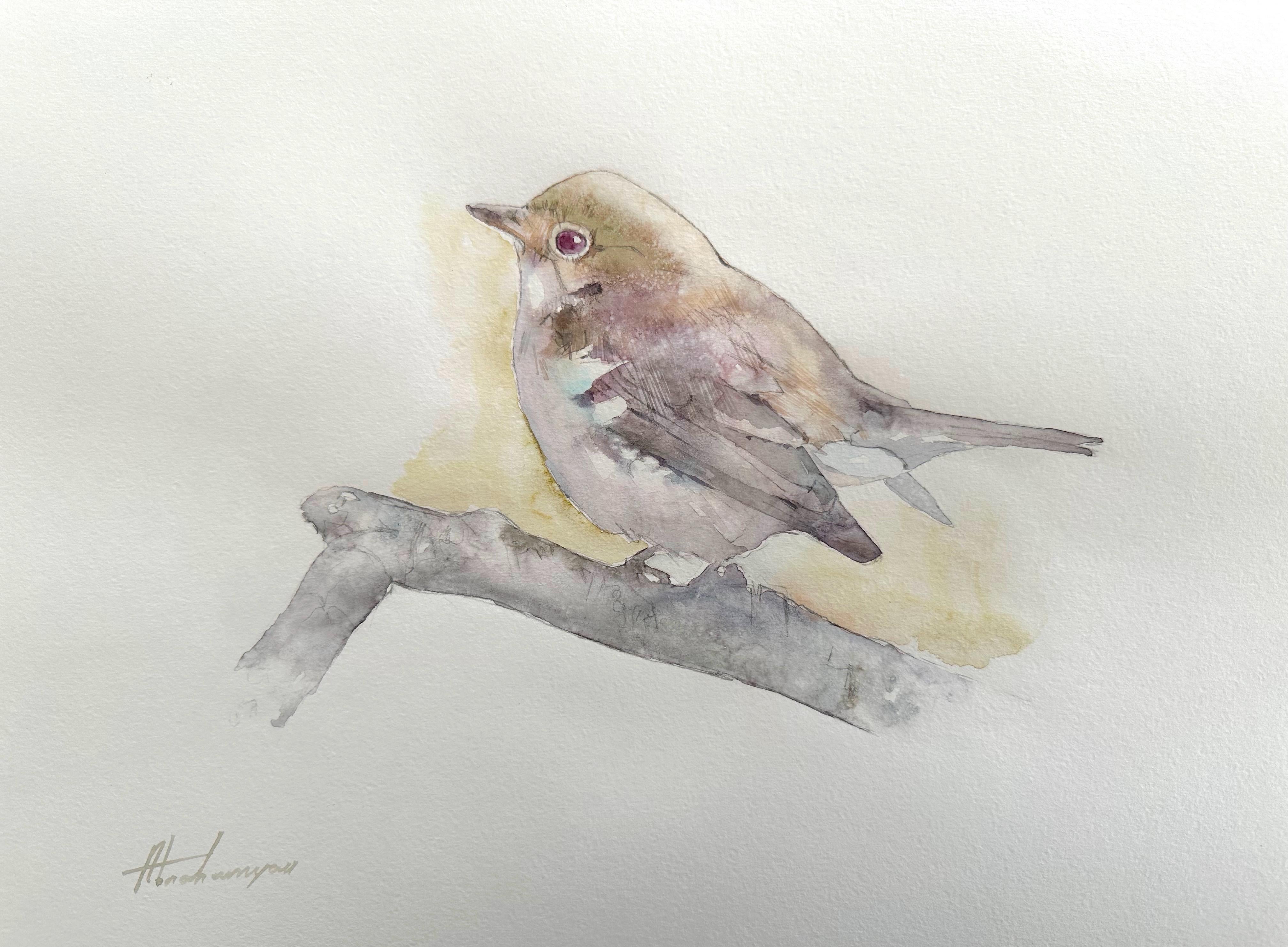 Wren, Watercolor Handmade Painting, One of a Kind