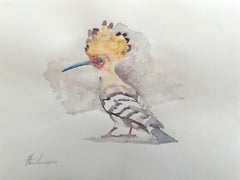 Hoopoe, oiseau, aquarelle, peinture faite à la main, unique en son genre
