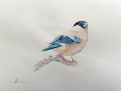 Bullfinch, peinture à l'aquarelle faite à la main, unique en son genre