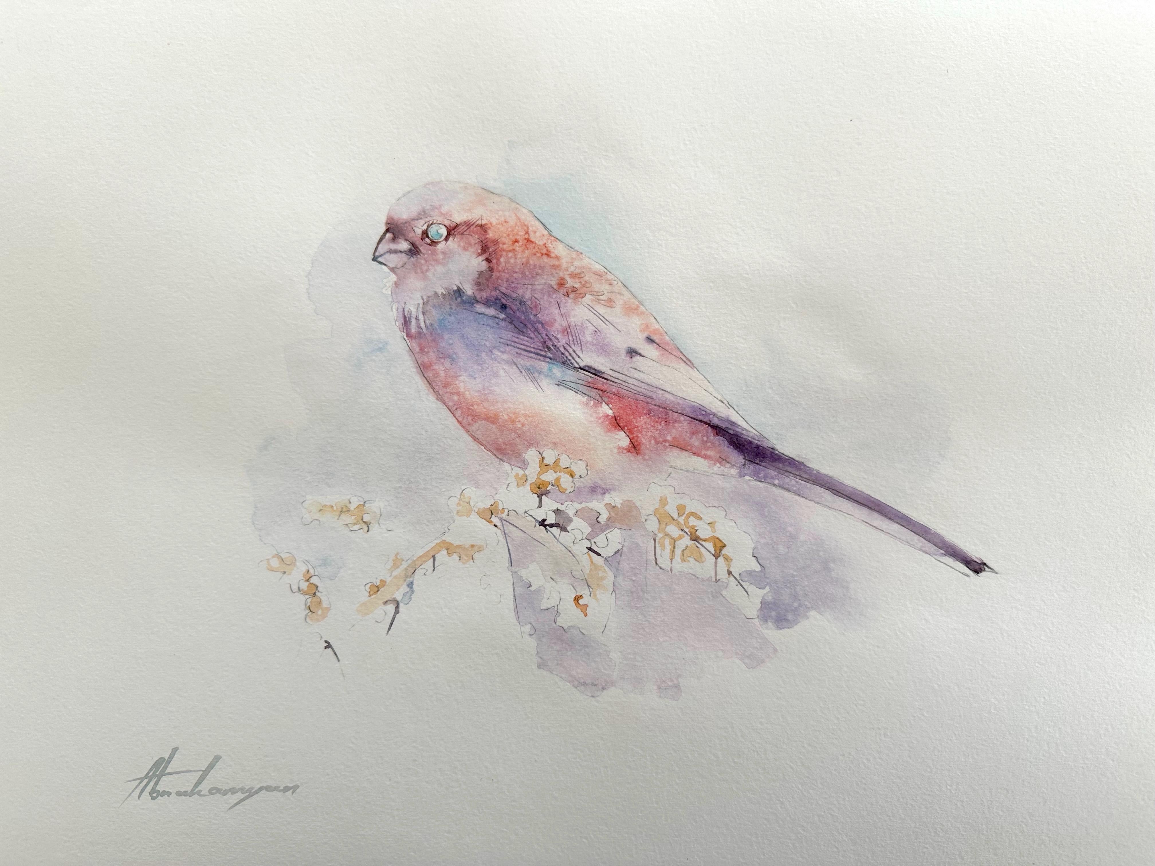 Camachuelo, Pájaro, Pintura a mano en acuarela, Único en su especie