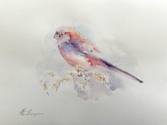 Bouvreuil, oiseau, aquarelle, peinture faite à la main, unique en son genre