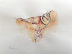 Titmouse, oiseau, aquarelle, peinture faite à la main, unique en son genre