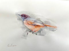 Oiseau violet, peinture à l'aquarelle faite à la main, exemplaire unique