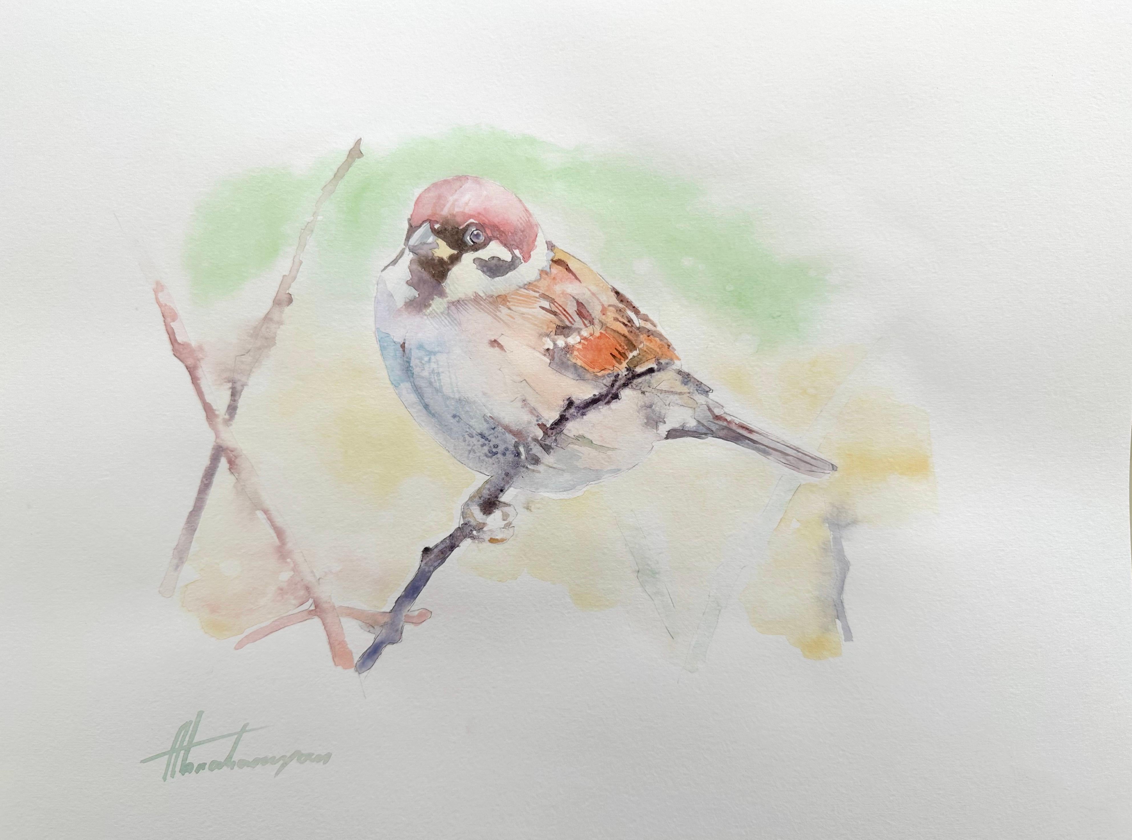 Artyom Abrahamyan Animal Art - Sparrow, Bird, Watercolor Handmade Painting, One of a Kind