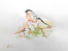 Bullfinch, Bird, Watercolor Handmade Painting, One of a Kind