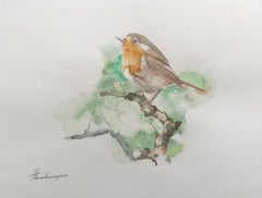 Robin, oiseau, aquarelle, peinture faite à la main, unique en son genre