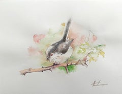Troglodyte, oiseau, aquarelle, peinture faite à la main, unique en son genre