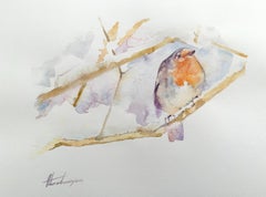 Robin, oiseau, aquarelle, peinture faite à la main, unique en son genre