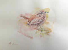 Troglodyte, oiseau, aquarelle, peinture faite à la main, unique en son genre