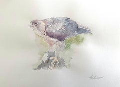 Faucon, oiseau, aquarelle, peinture faite à la main, unique en son genre
