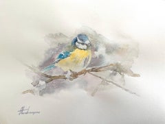 Great Tit, Watercolor Handmade Painting, One of a Kind