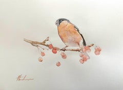 Bouvreuil, oiseau, aquarelle, peinture faite à la main, unique en son genre