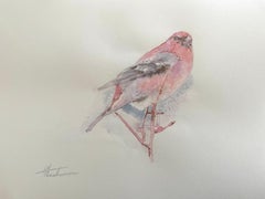 Bouvreuil, oiseau, aquarelle, peinture faite à la main, unique en son genre