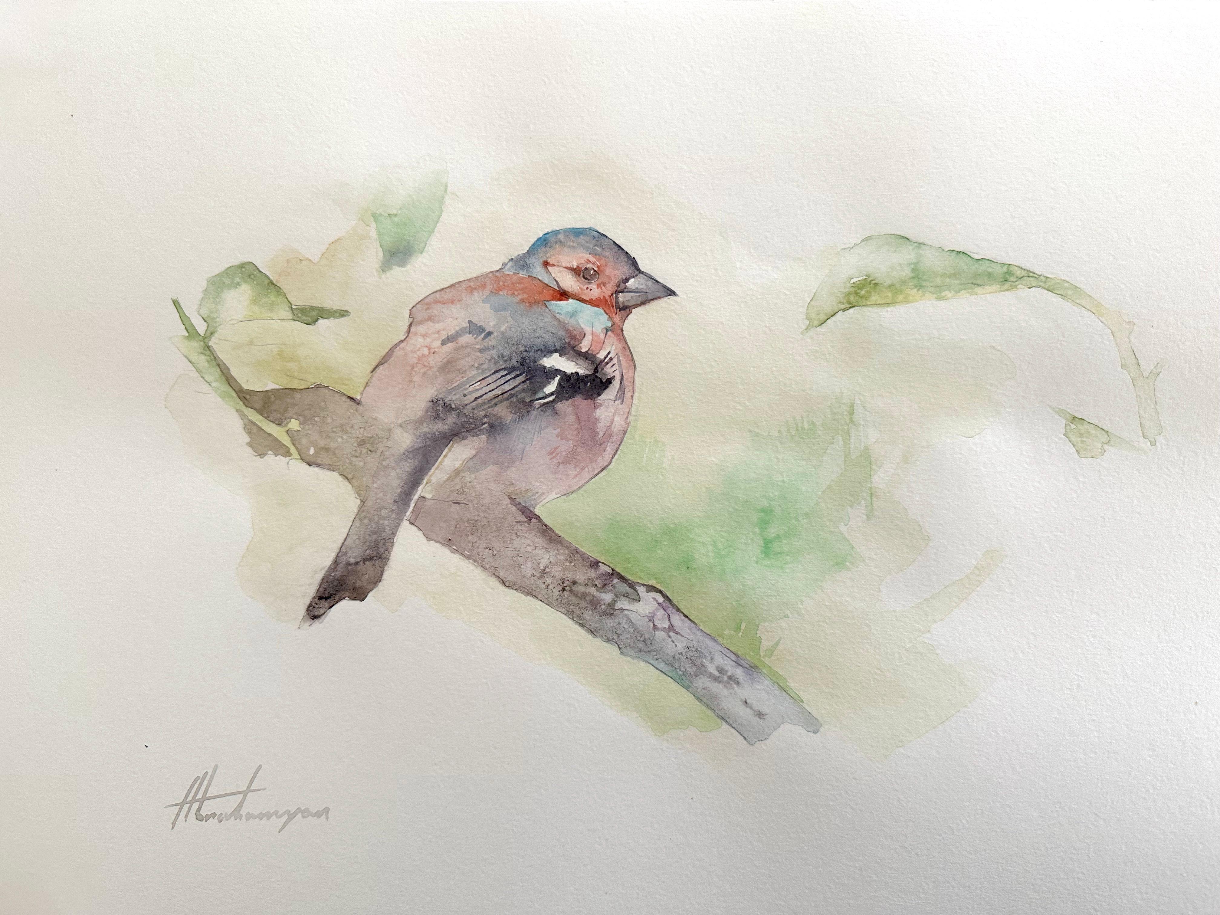 Artyom Abrahamyan Animal Art - Chaffinch, Bird, Watercolor Handmade Painting, One of a Kind