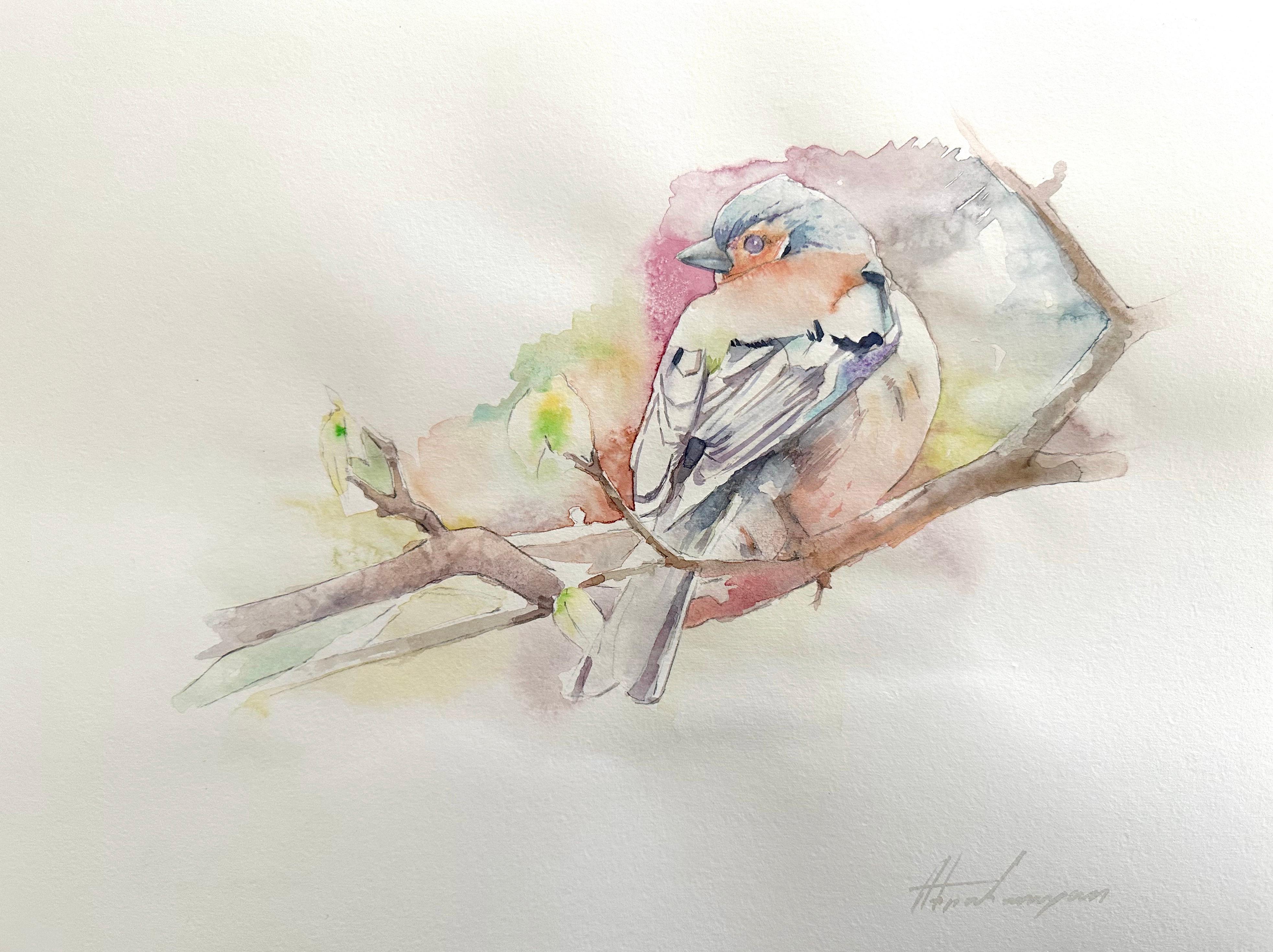 Artyom Abrahamyan Animal Art - Chaffinch, Bird, Watercolor Handmade Painting, One of a Kind