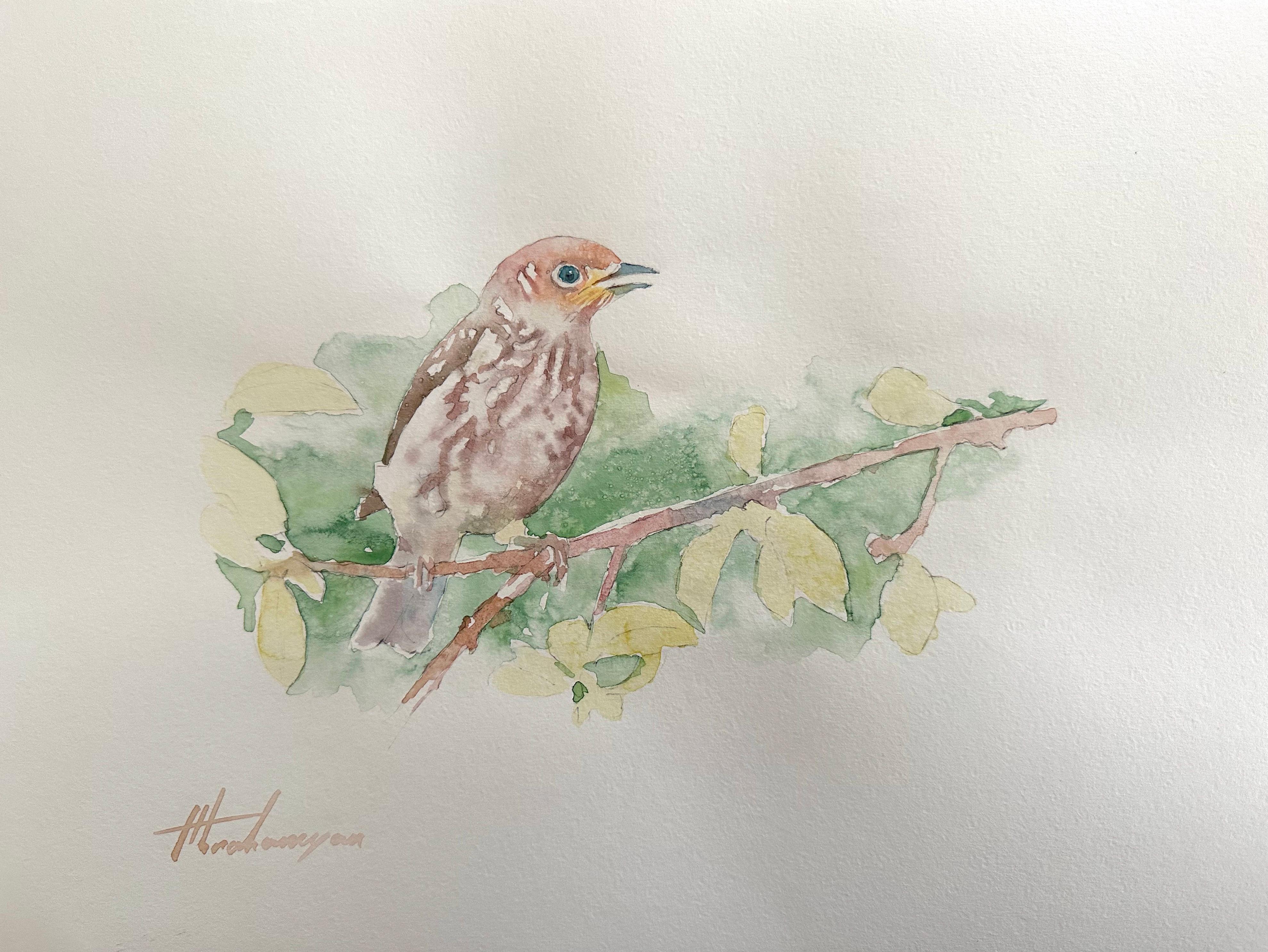Cuckoo, Bird, Watercolor Handmade Painting, One of a Kind