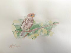 Cuckoo, oiseau, peinture à l'aquarelle faite à la main, unique en son genre