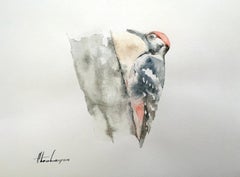 Pic, oiseau, aquarelle, peinture faite à la main, unique en son genre