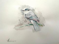 Jay, Vogel, Aquarell, handgefertigtes Gemälde, Unikat