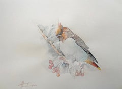 Jaseur, oiseau, aquarelle, peinture faite à la main, unique en son genre