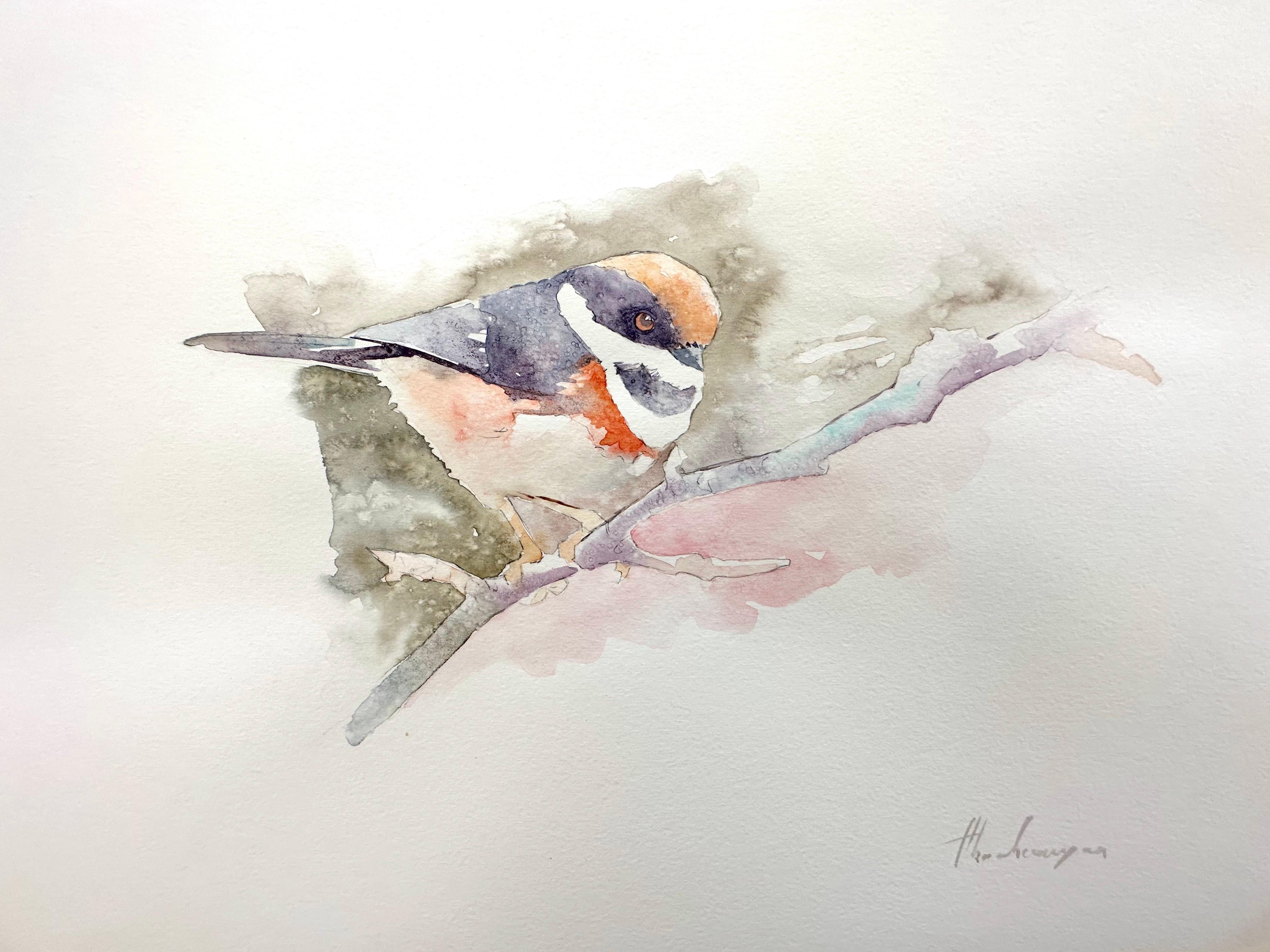 Schwarz-throated Bush, Vogel, Aquarell, handgefertigtes Aquarell, einzigartiges Gemälde