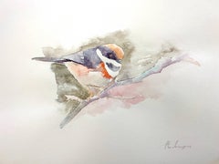 Black- throated bush, Bird, Watercolor Handmade Painting, One of a Kind