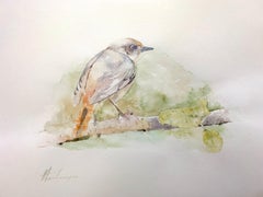 Common Redstart, Vogel, Aquarell, handgefertigtes Gemälde, Unikat