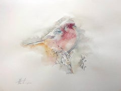 Finche de rose, oiseau, aquarelle, peinture faite à la main, unique en son genre