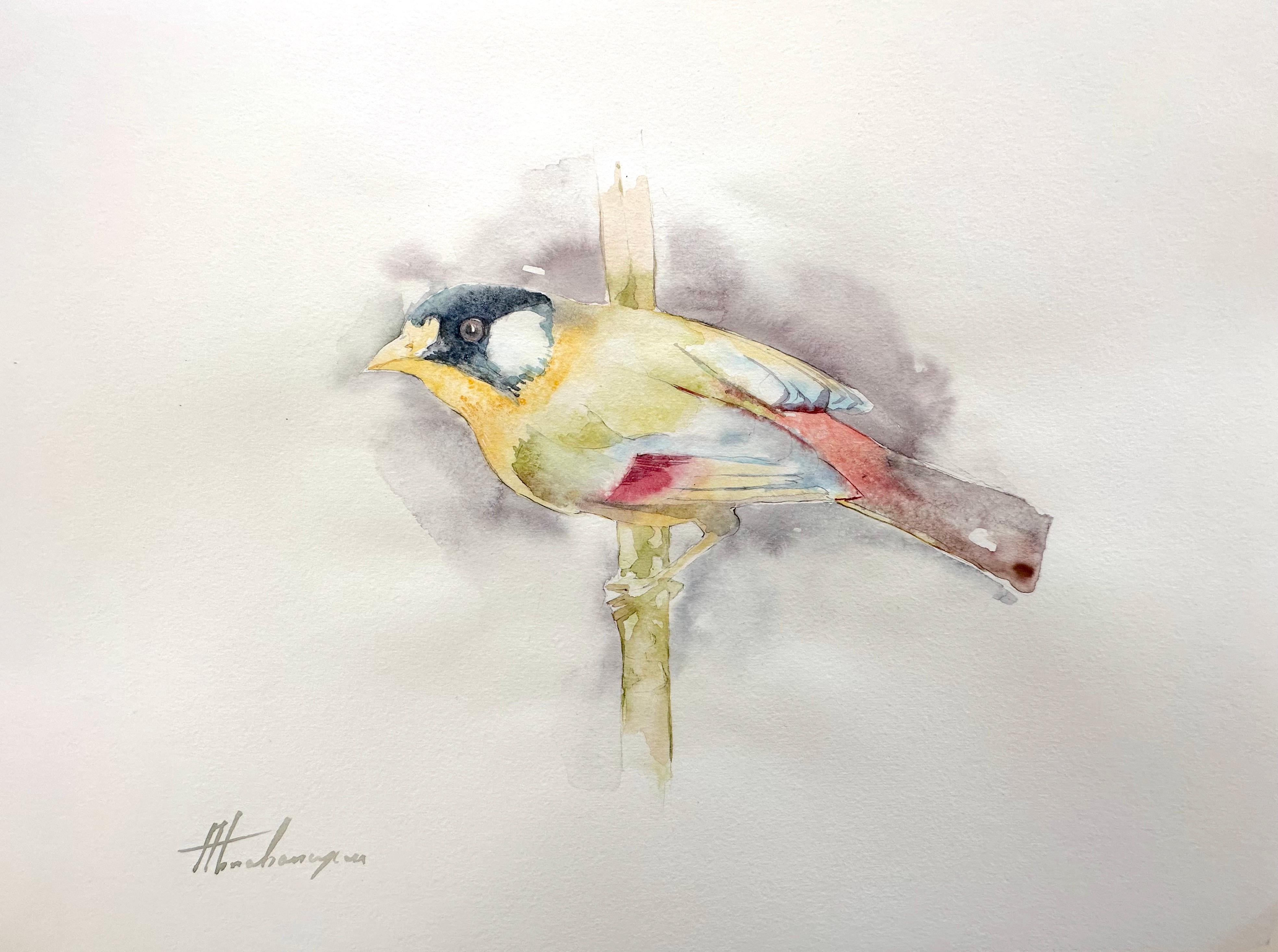 Silver-eared mesia, Bird, Watercolor Handmade Painting, One of a Kind