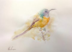 Sonnenvogel, Vogel, Aquarell, handgefertigtes Gemälde, Unikat, Aquarell