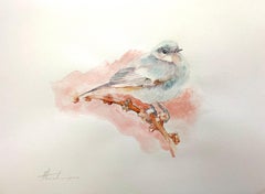 Redstart, oiseau, aquarelle, peinture faite à la main, unique en son genre