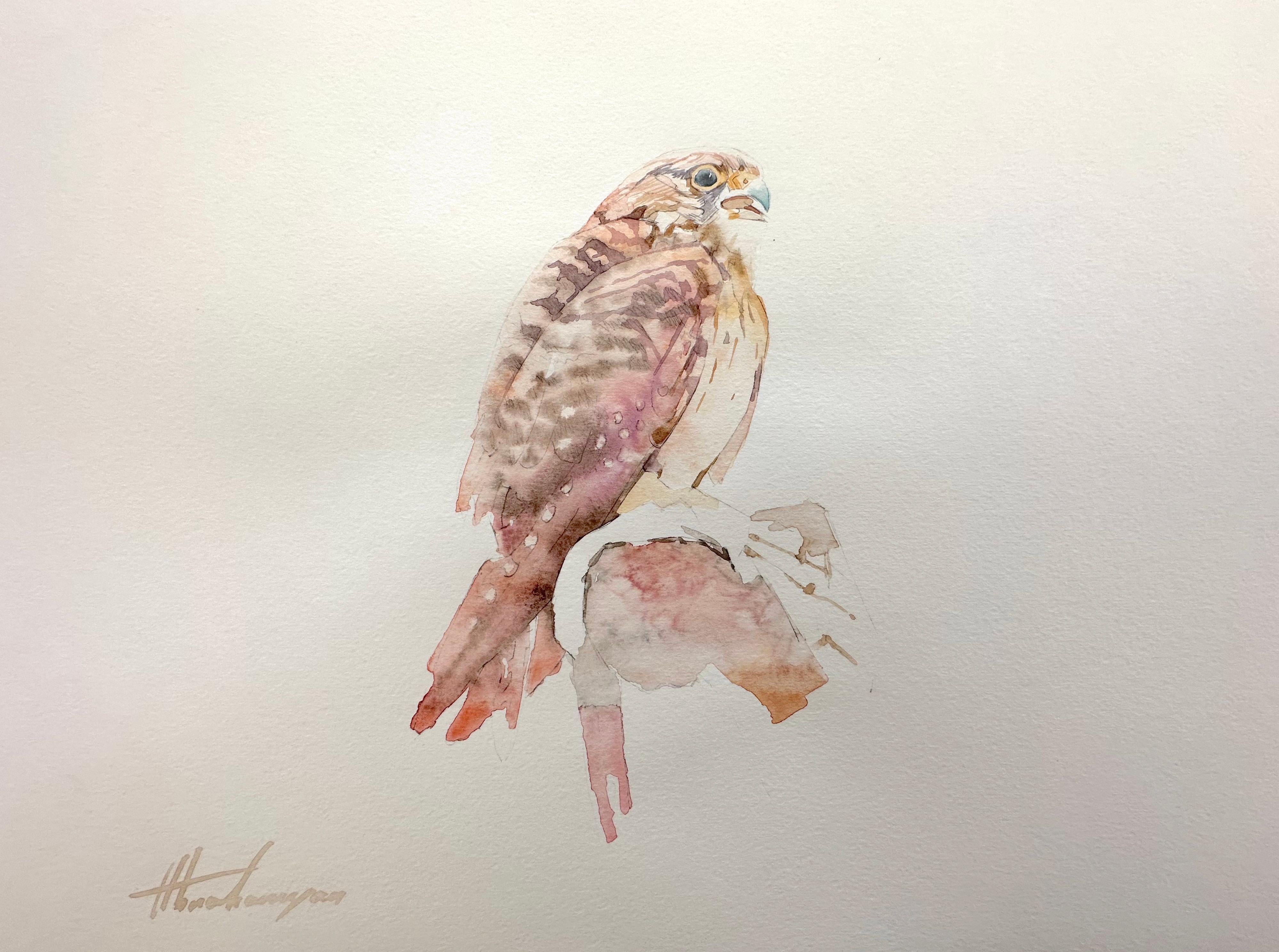 Buzzard, Bird Watercolor Handmade Painting, One of a Kind