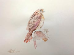 Buzzard, aquarelle d'oiseau faite à la main, unique en son genre