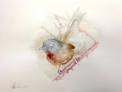 Fairies Wren, oiseau, peinture à l'eau faite à la main, unique en son genre