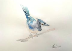 Blauer Jay, Vogel, Aquarell, handgefertigtes Gemälde, Unikat